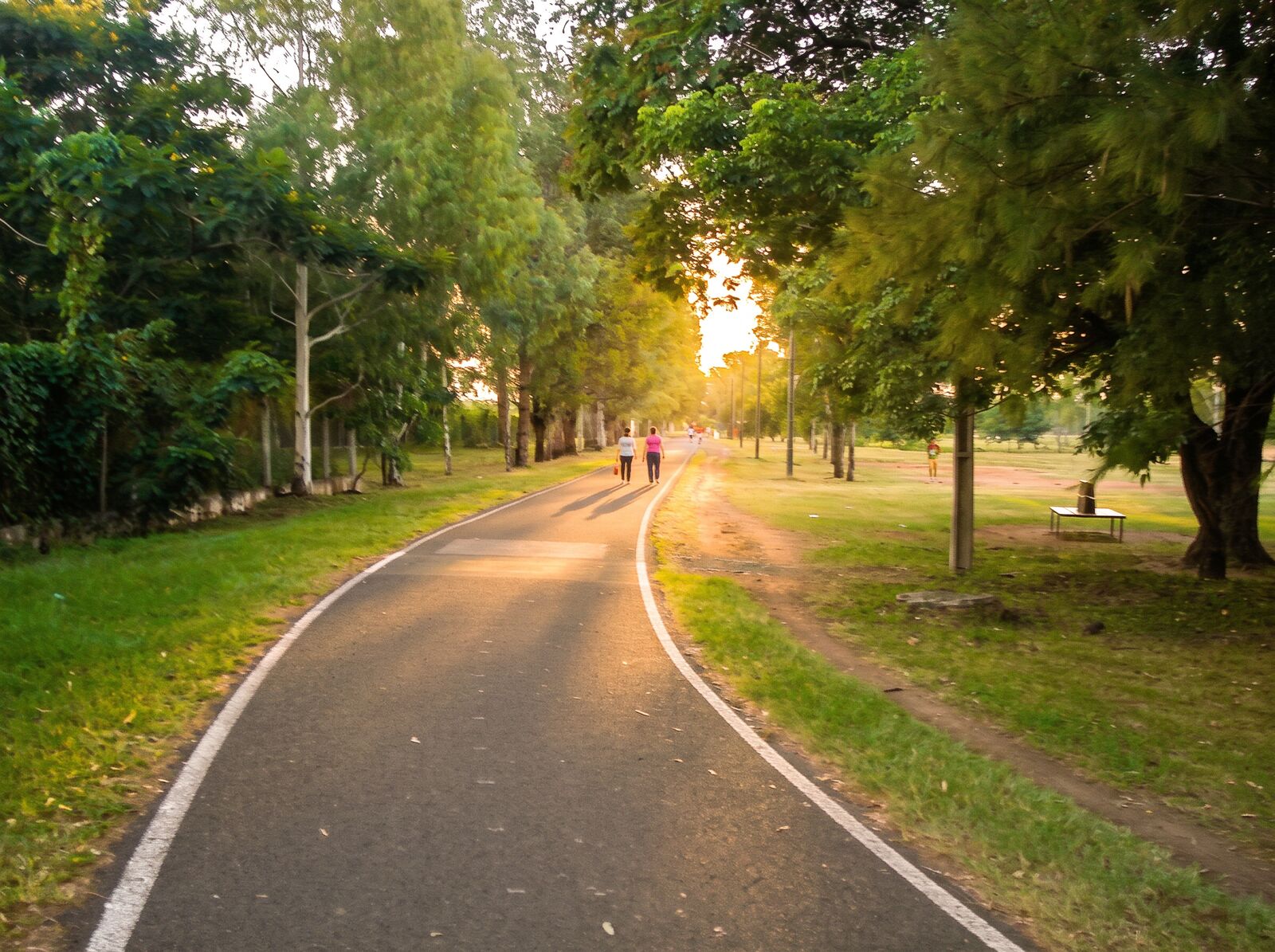 Sendero del Parque Ñu Guasu